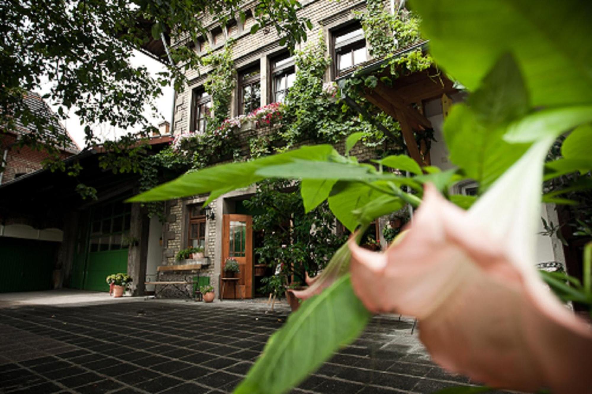 Gaestehaus Guntersblum Luaran gambar